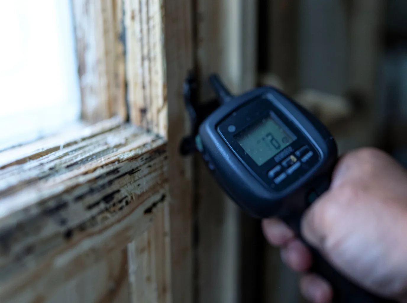 Moisture Inspection And Documentation in Greenup, KY